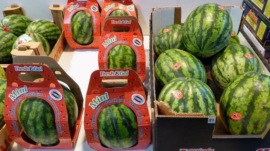 sandías mini|colorful-1846051_960_720|180509_WMW_BEFE_greenhouse_add2|180509_WMW_BEFE_lady_add2|water-melon-1652093_960_720|Nunhems-Mercedes-Fernández|Nunhems Sandías mini